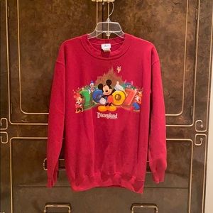 2007 Disneyland sweater in women’s size small.
